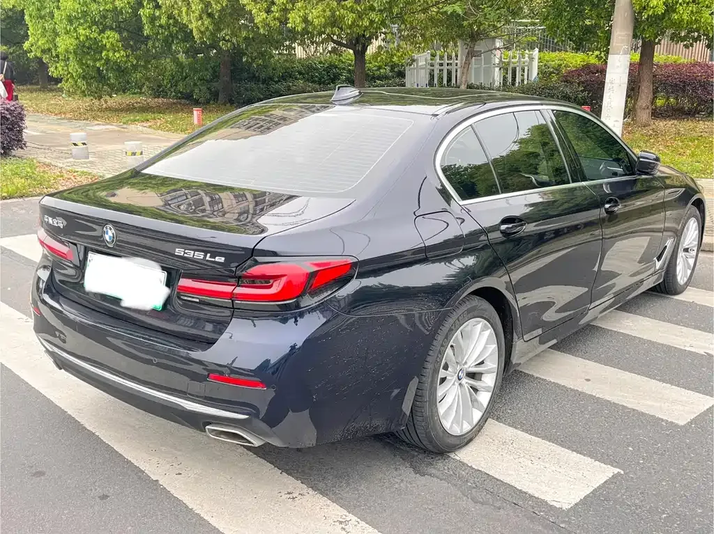 BMW 5 Series New Energy 2021 из CN, фото 8
