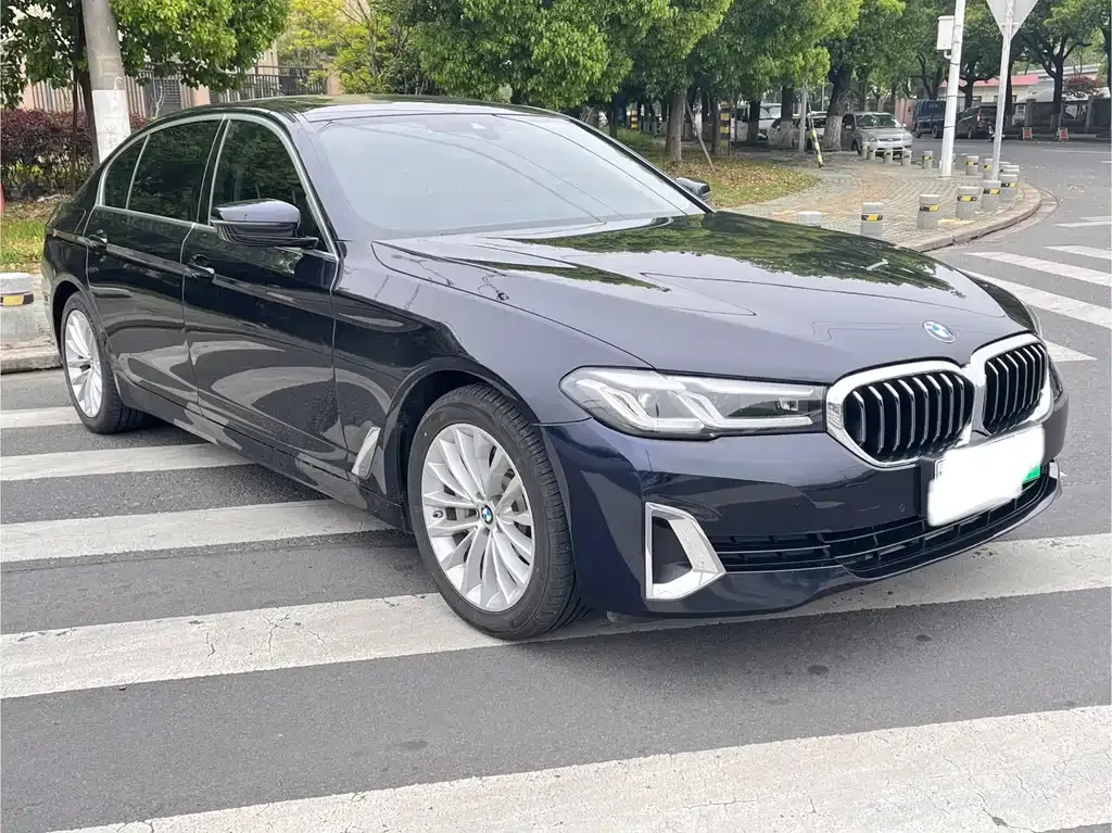 BMW 5 Series New Energy 2021 из CN, фото 7