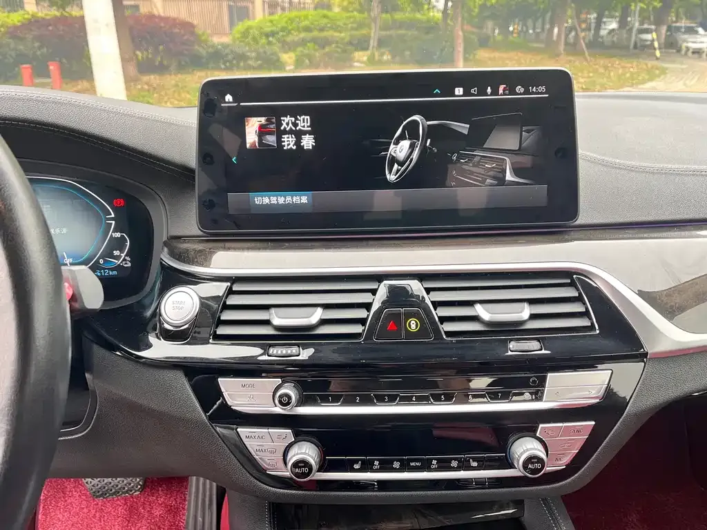 BMW 5 Series New Energy 2021 из CN, фото 6