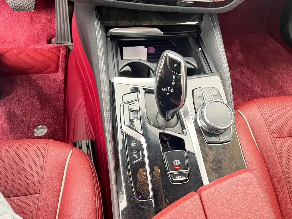 BMW 5 Series New Energy 2021 из CN, фото 10