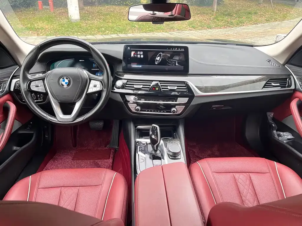 BMW 5 Series New Energy 2021 из CN, фото 2