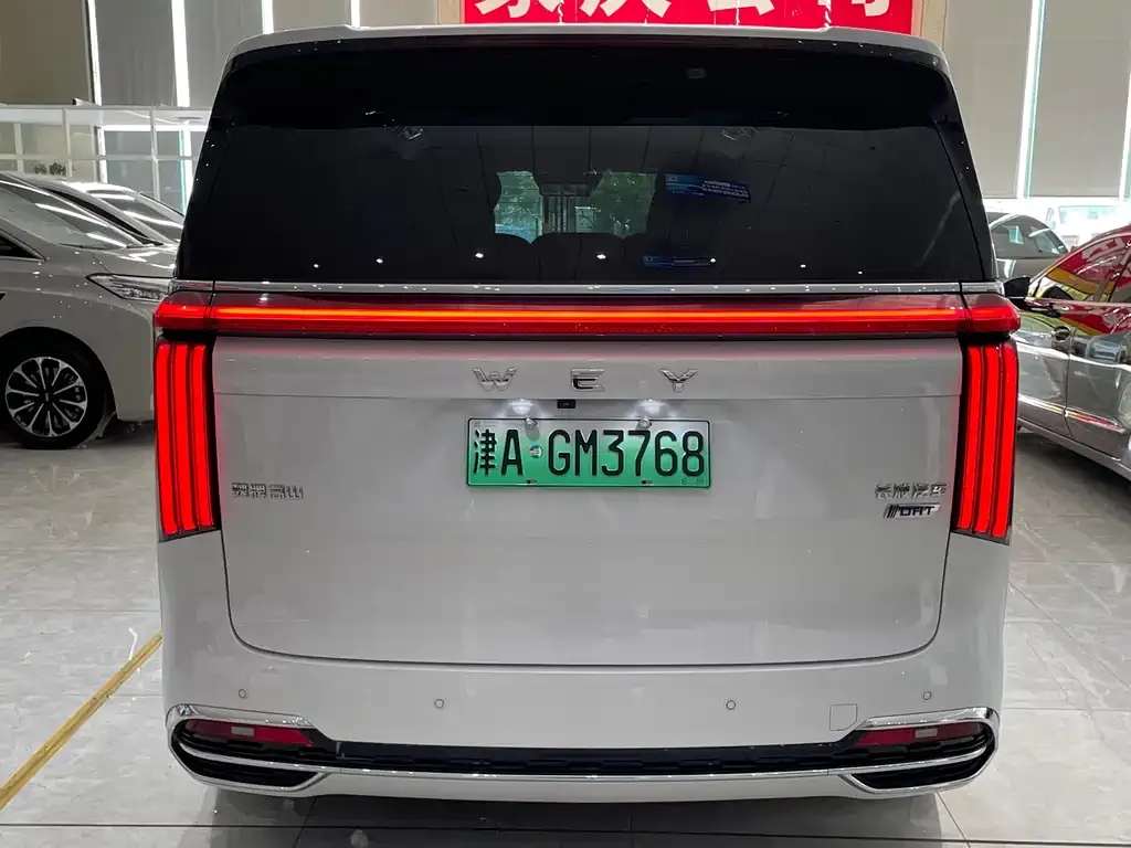 Wey Gaoshan 2023 из CN, фото 6