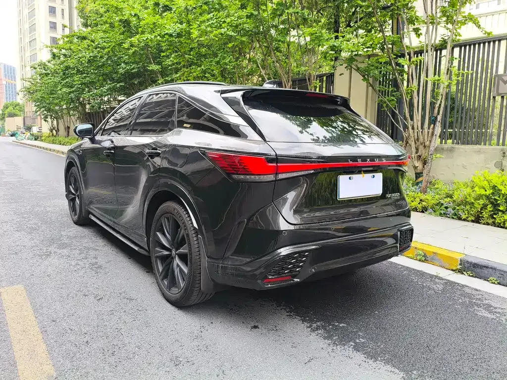 Lexus RX — фото 3