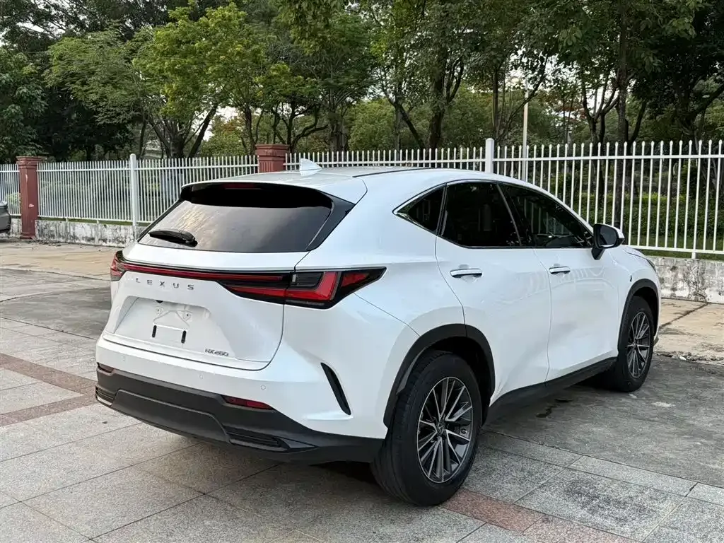 Lexus NX — фото 3