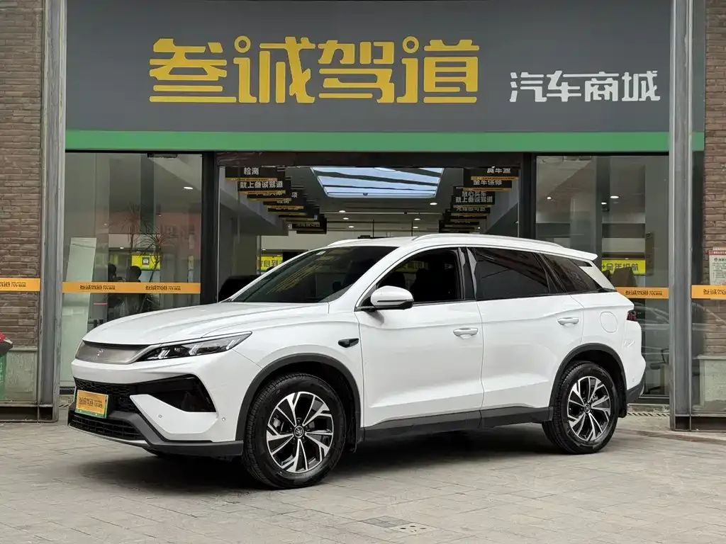 BYD Pro New Energy — фото 1