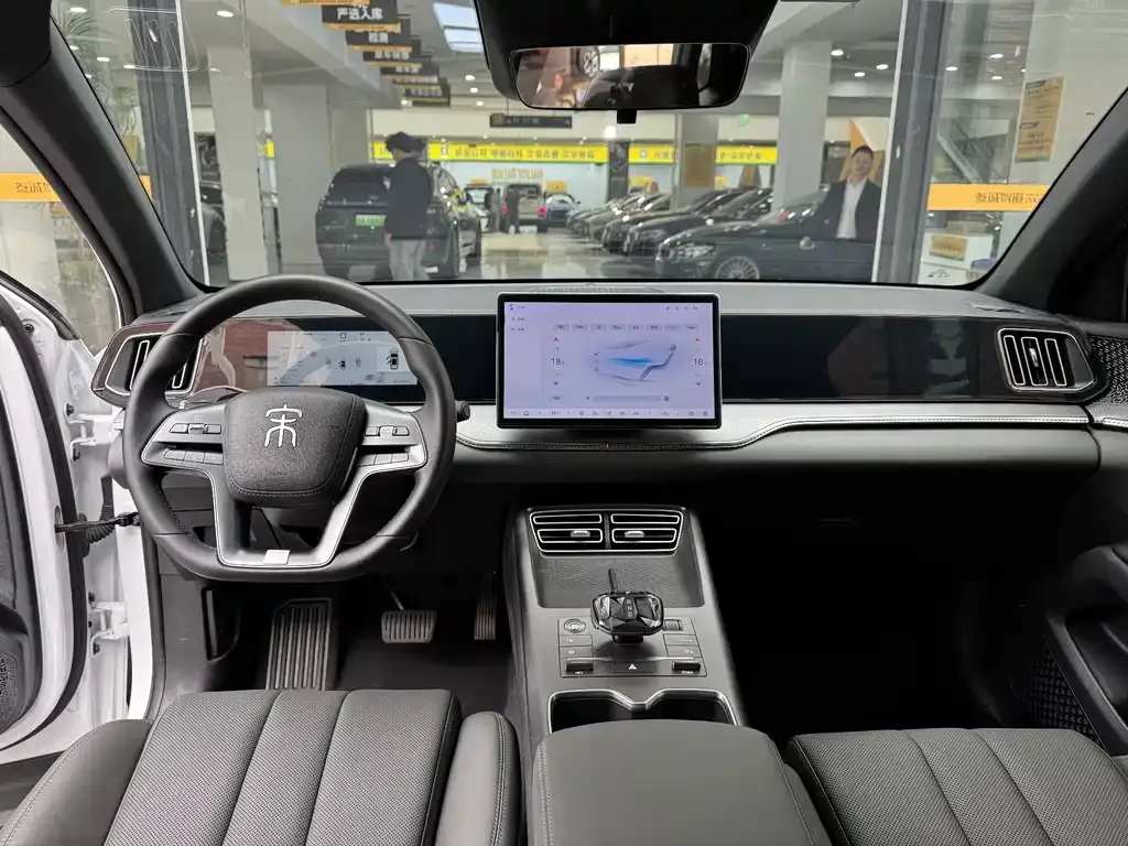 BYD Pro New Energy — фото 6