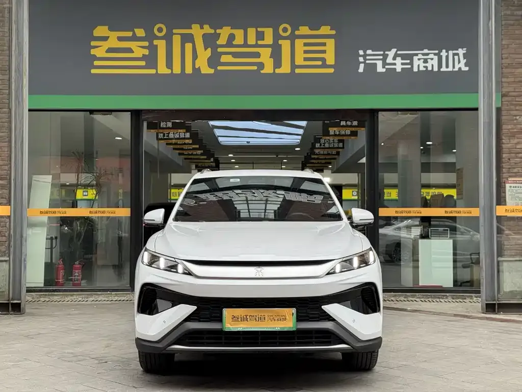 BYD Pro New Energy — фото 7