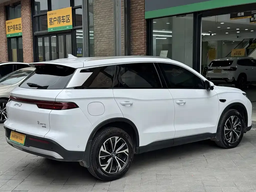 BYD Pro New Energy — фото 8
