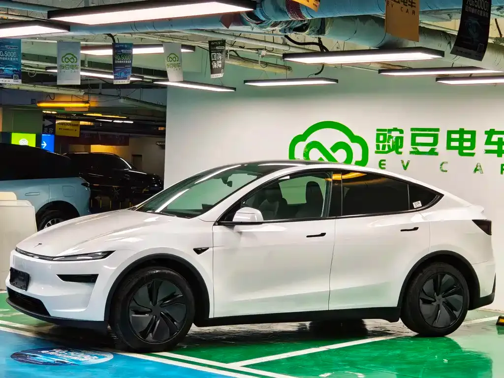 Tesla Model Y — фото 3