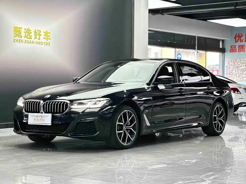 BMW 5 Series 2022 из CN, фото 1
