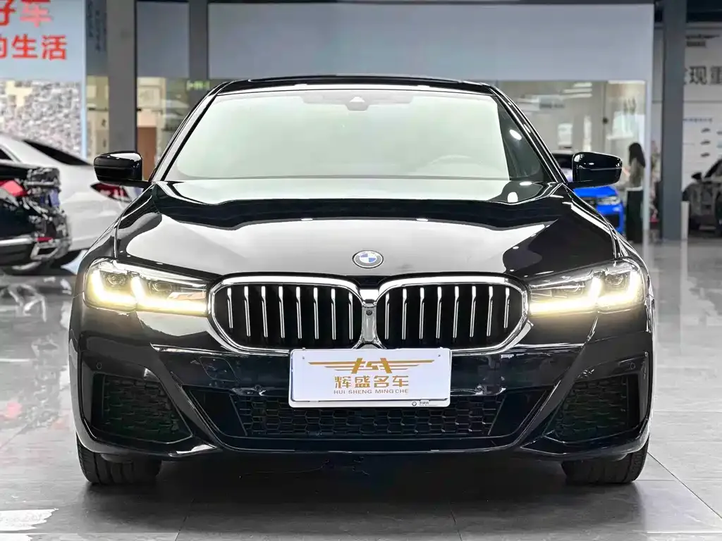 BMW 5 Series 2022 из CN, фото 3
