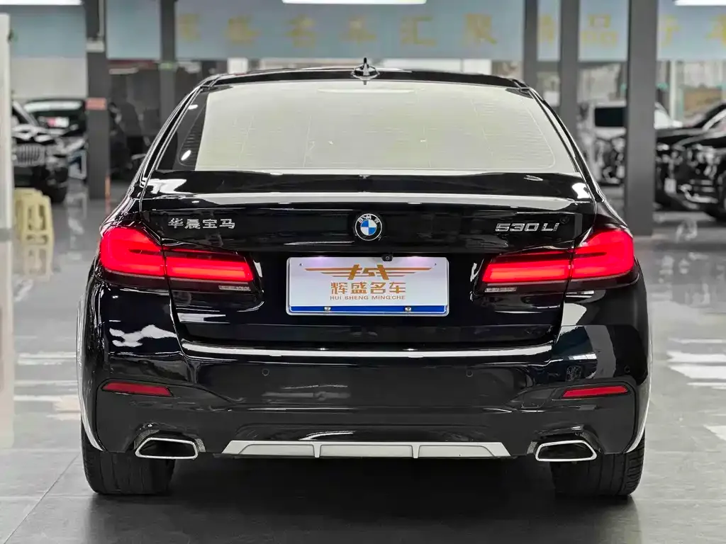 BMW 5 Series 2022 из CN, фото 7