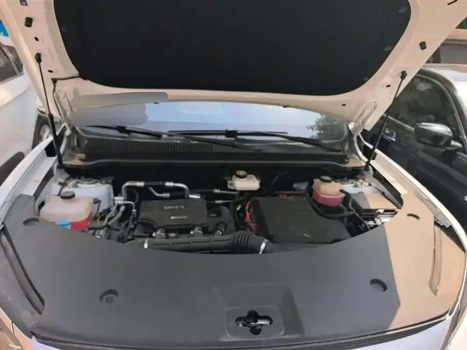 BYD Pro New Energy — фото 9