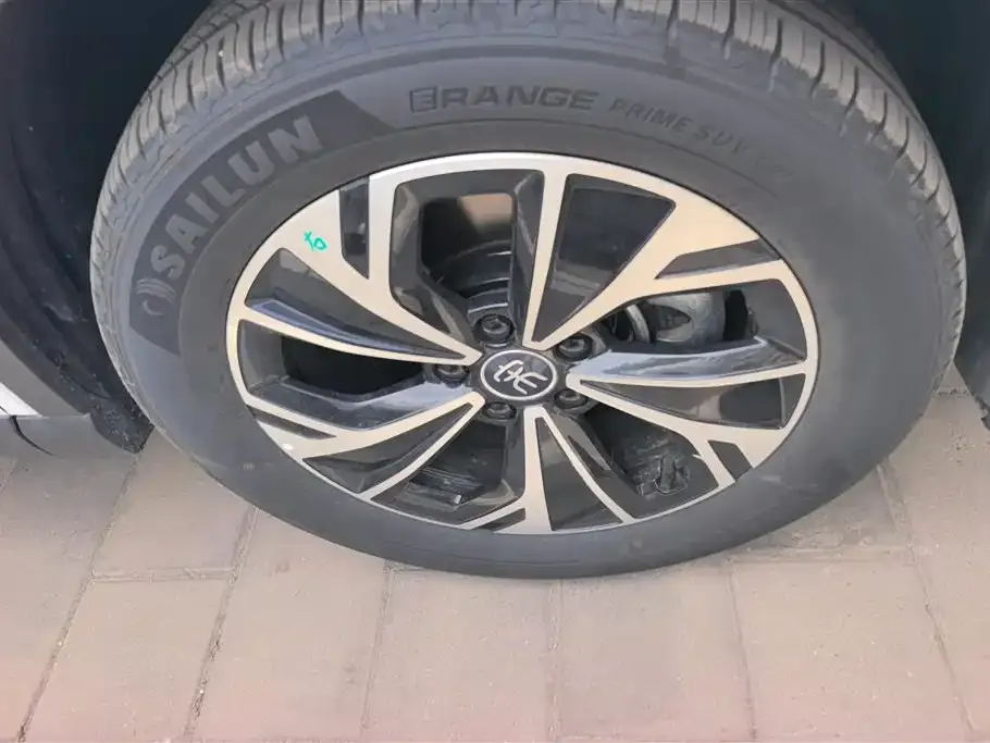 BYD Pro New Energy — фото 4