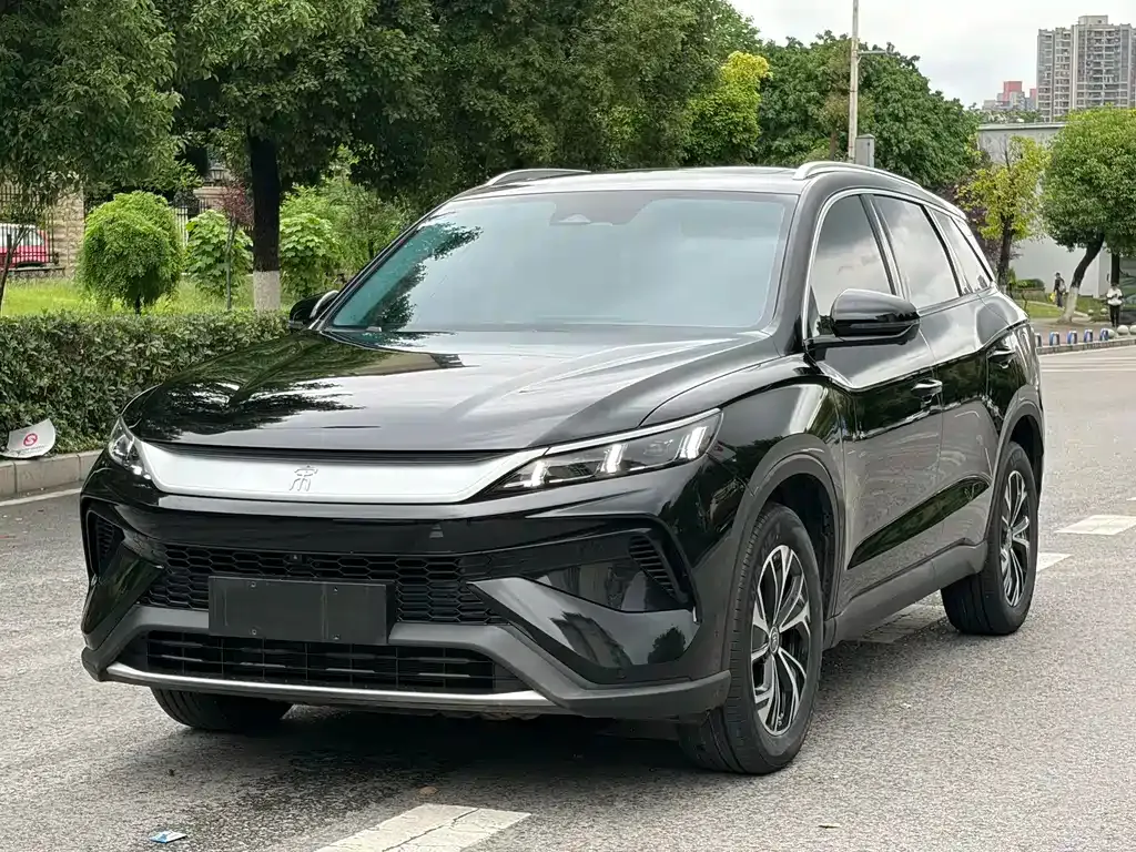 BYD Pro New Energy — фото 1