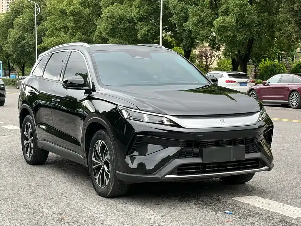 BYD Pro New Energy — фото 9