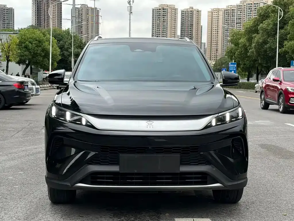 BYD Pro New Energy — фото 7