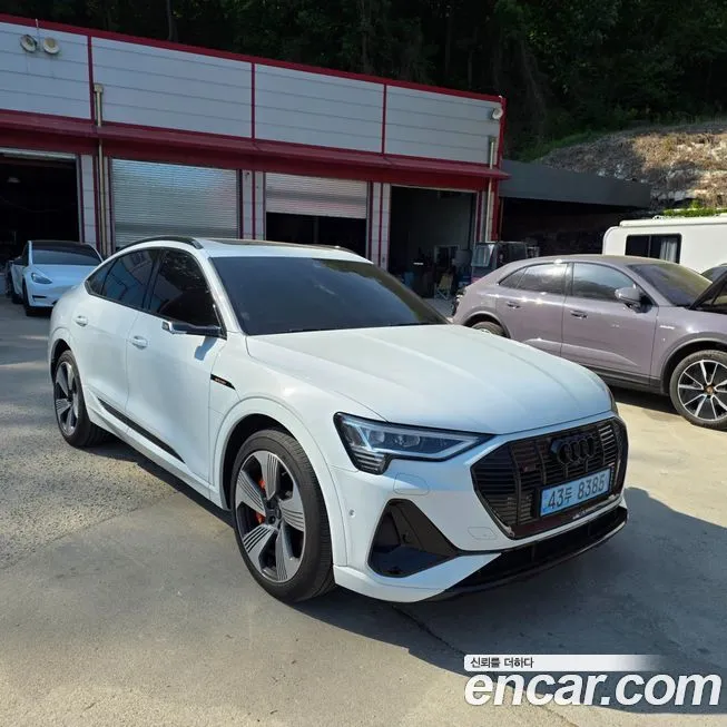 Audi e-tron 2021 из KR, фото 6