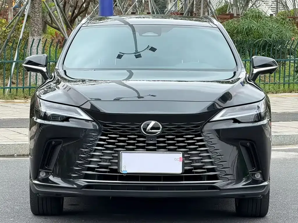 Lexus RX — фото 5