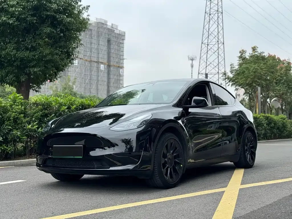 Tesla Model Y — фото 1