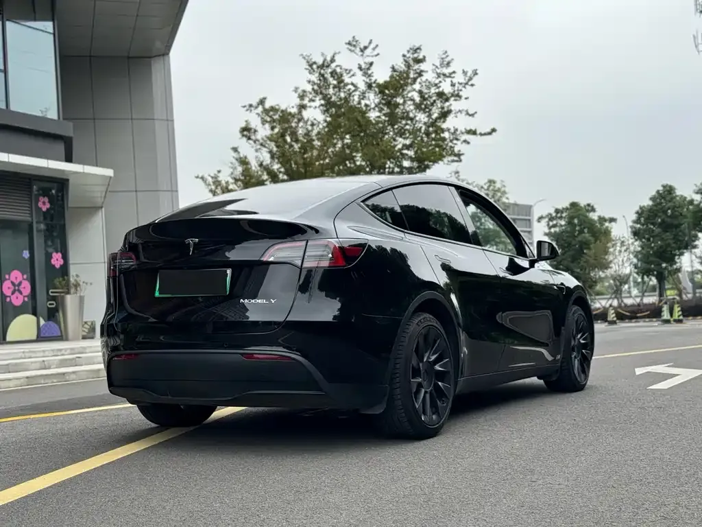 Tesla Model Y — фото 4