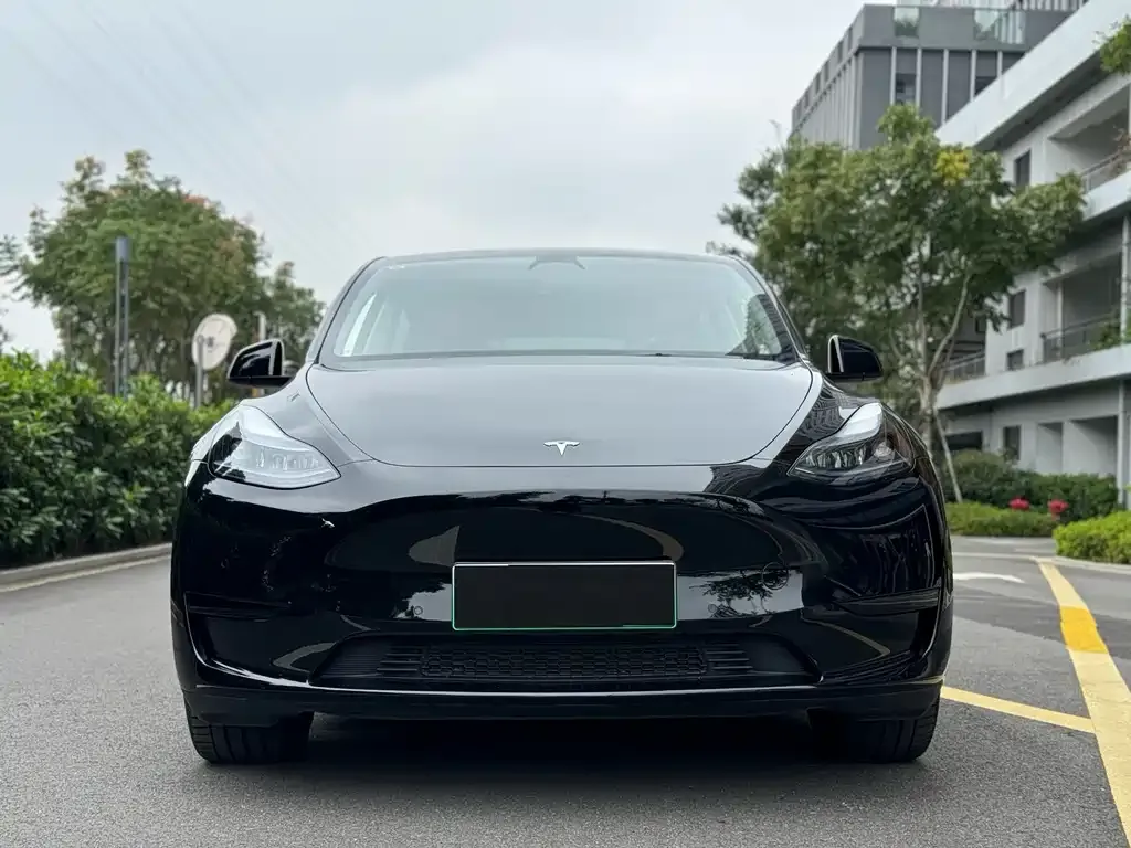 Tesla Model Y — фото 7