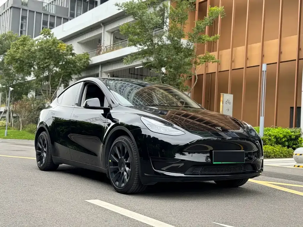Tesla Model Y — фото 6