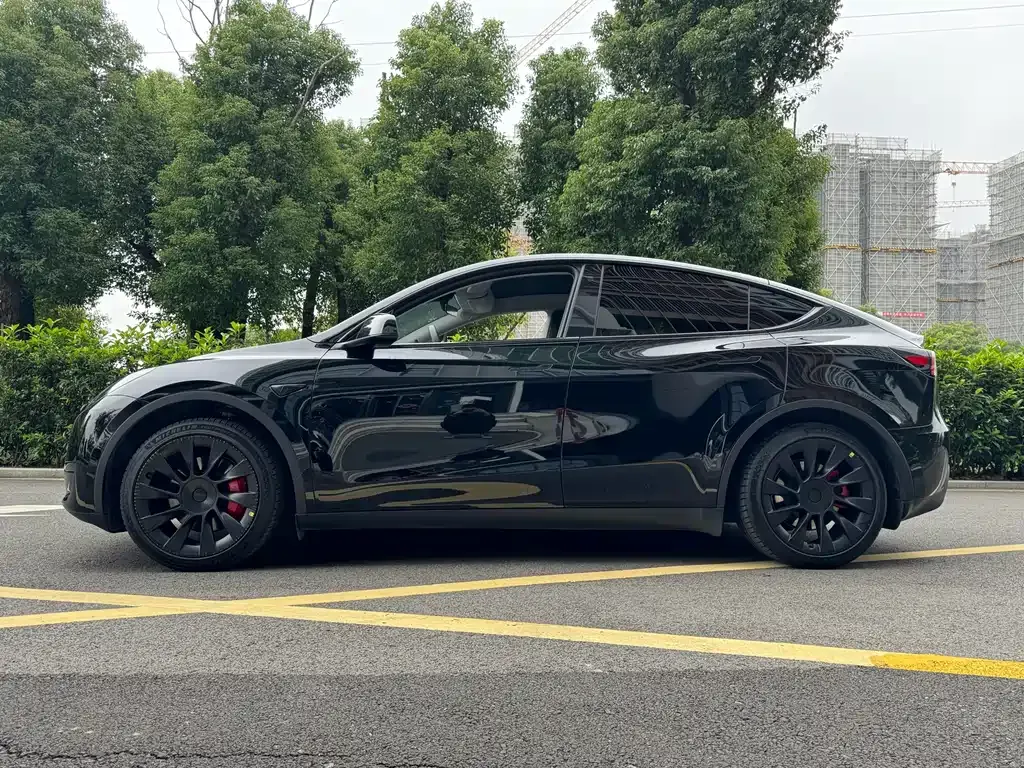 Tesla Model Y — фото 10