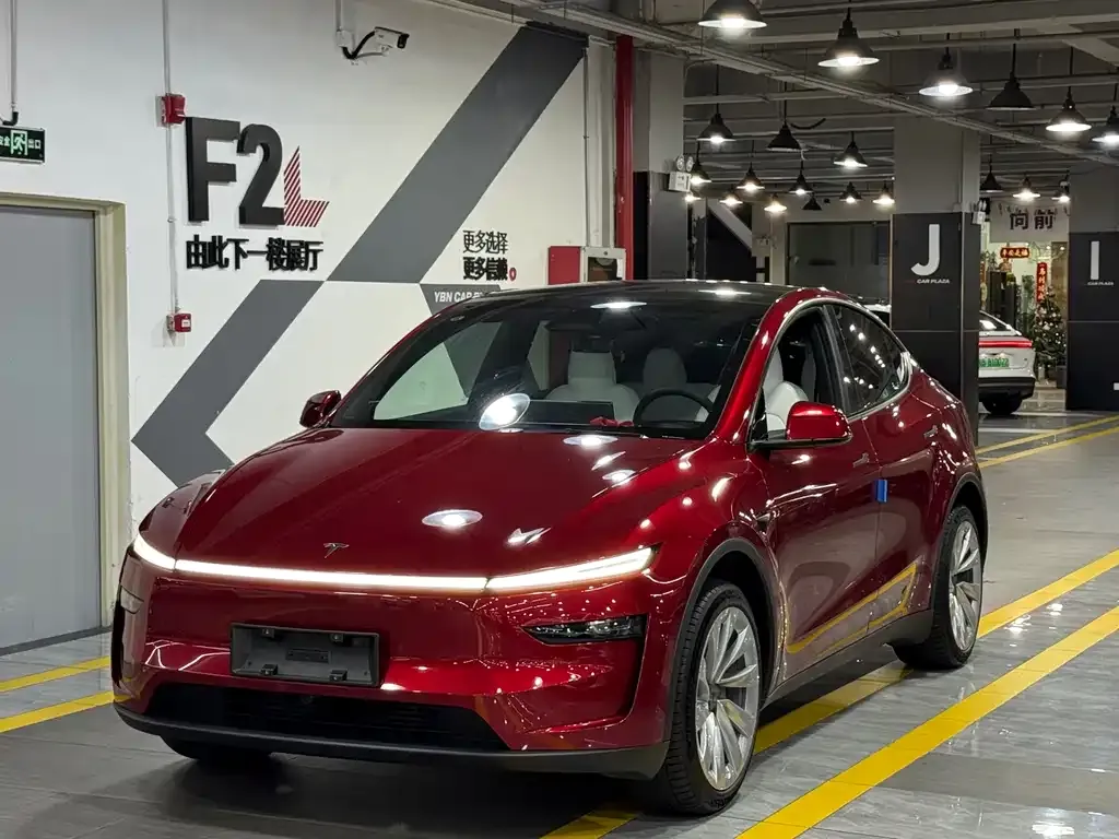 Tesla Model Y — фото 10