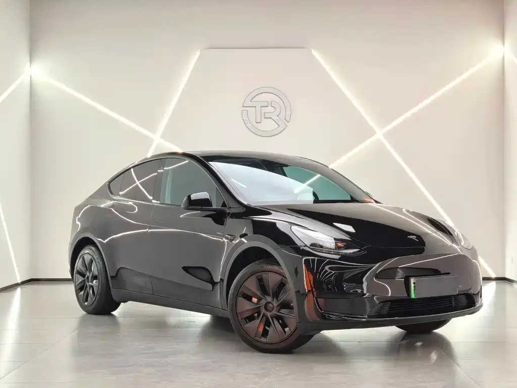 Tesla Model Y — фото 2