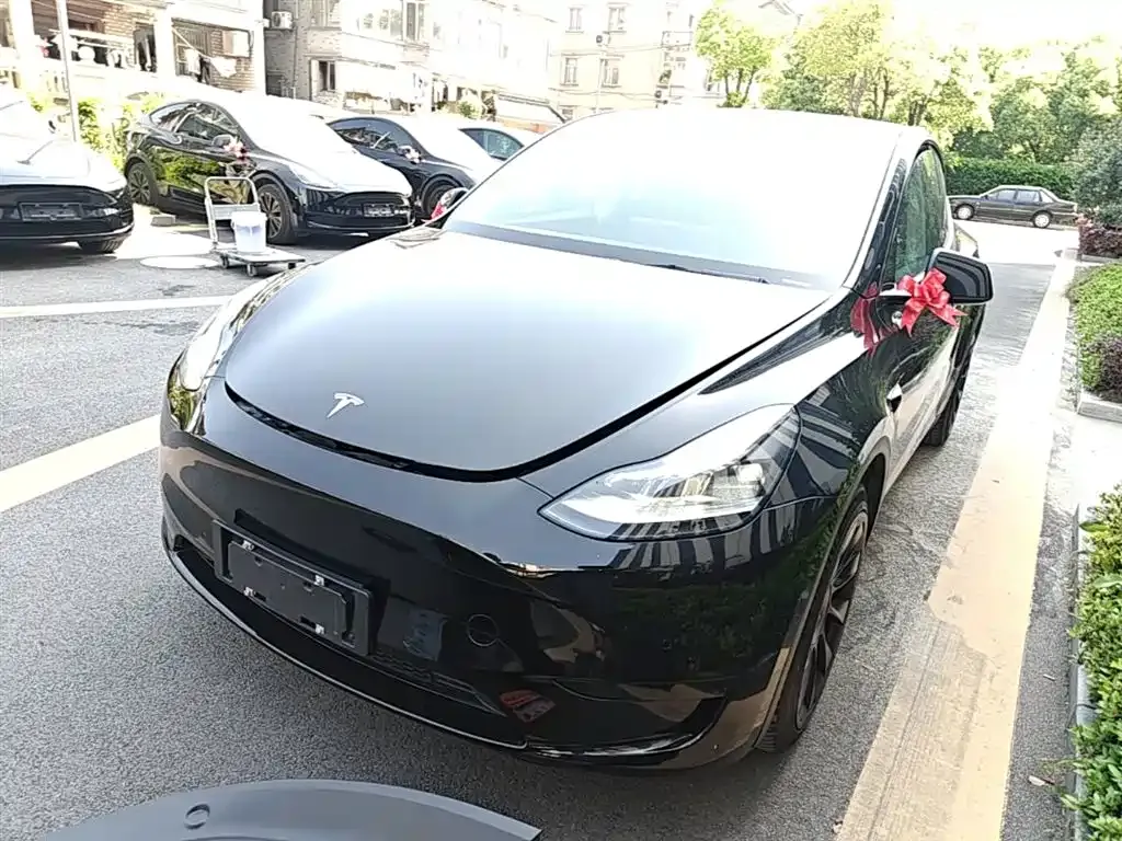 Tesla Model Y 2022 из CN, фото 5