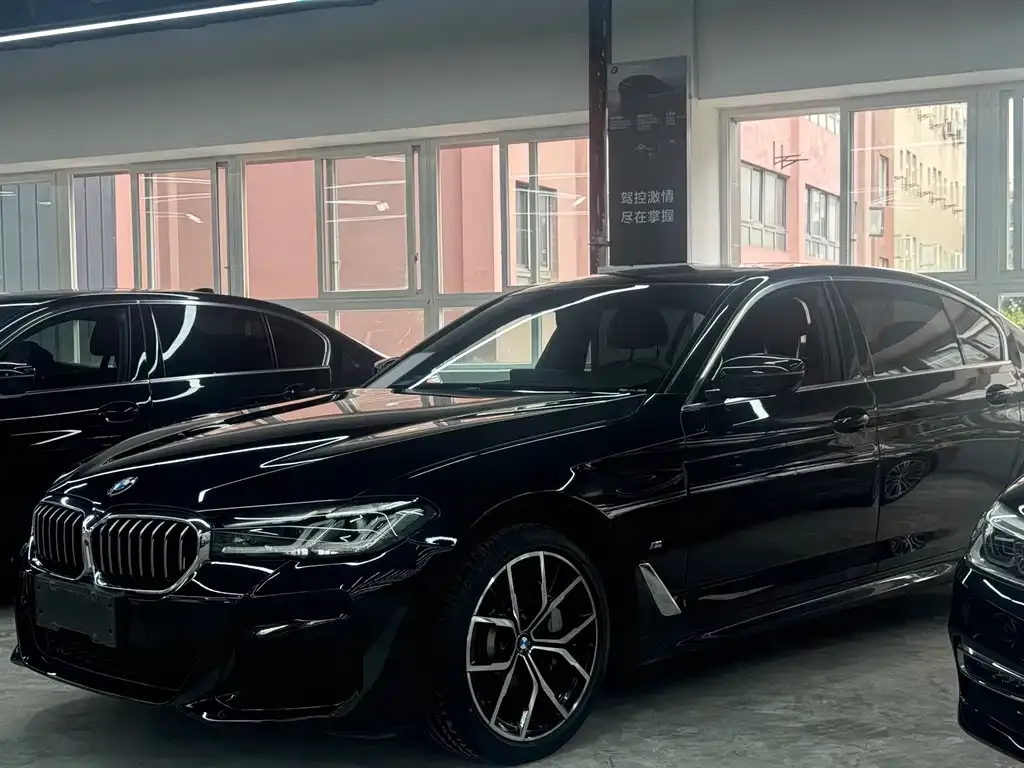 BMW 5 Series 2022 из CN, фото 1