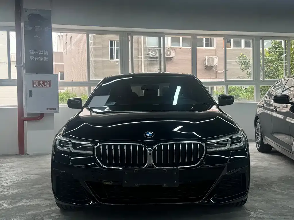 BMW 5 Series 2022 из CN, фото 6