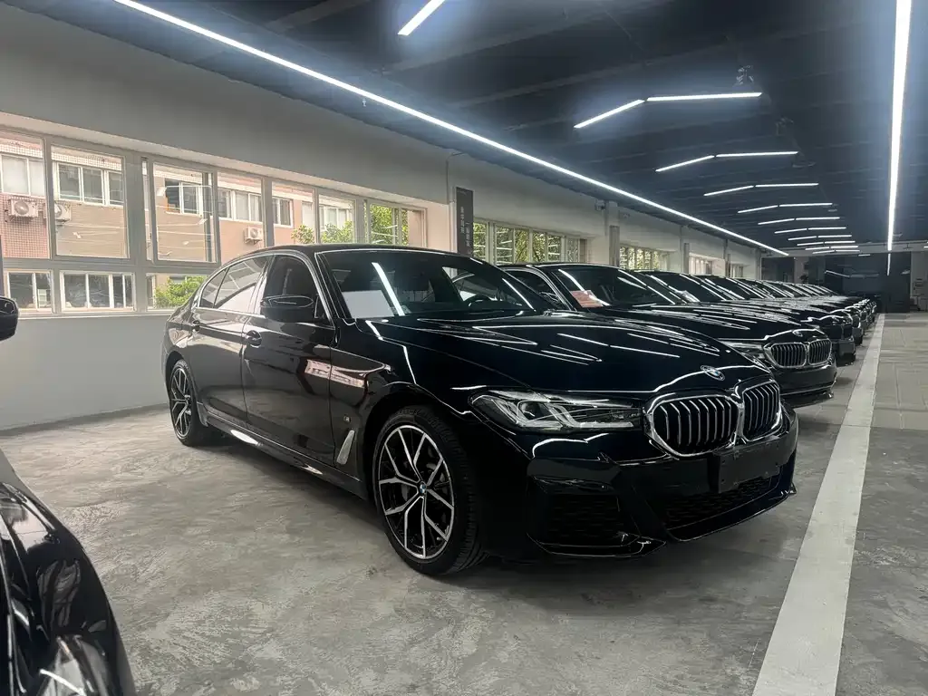 BMW 5 Series 2022 из CN, фото 2