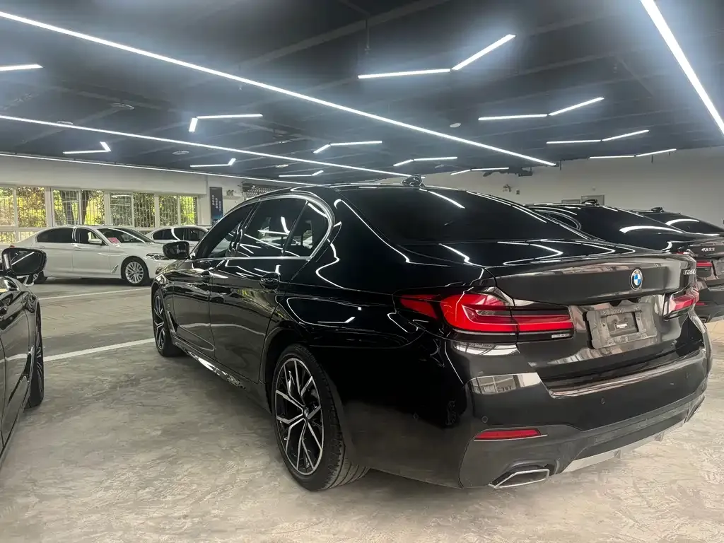 BMW 5 Series 2022 из CN, фото 7