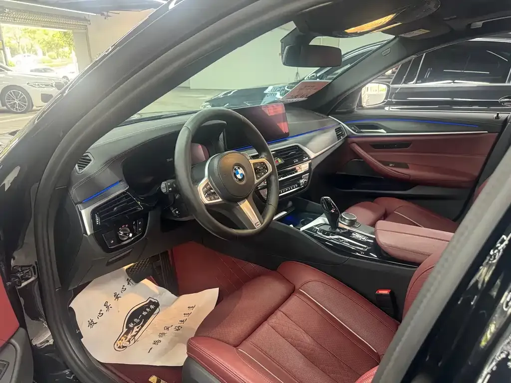 BMW 5 Series 2022 из CN, фото 8