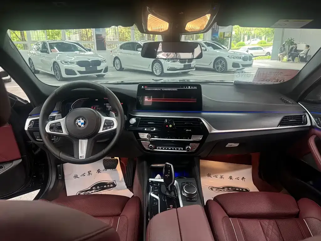 BMW 5 Series 2022 из CN, фото 3