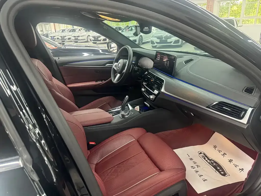 BMW 5 Series 2022 из CN, фото 9