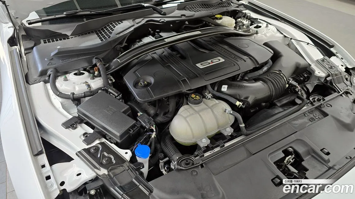Ford Mustang 2022 из KR, фото 6