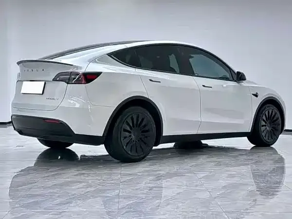 Tesla Model Y — фото 2