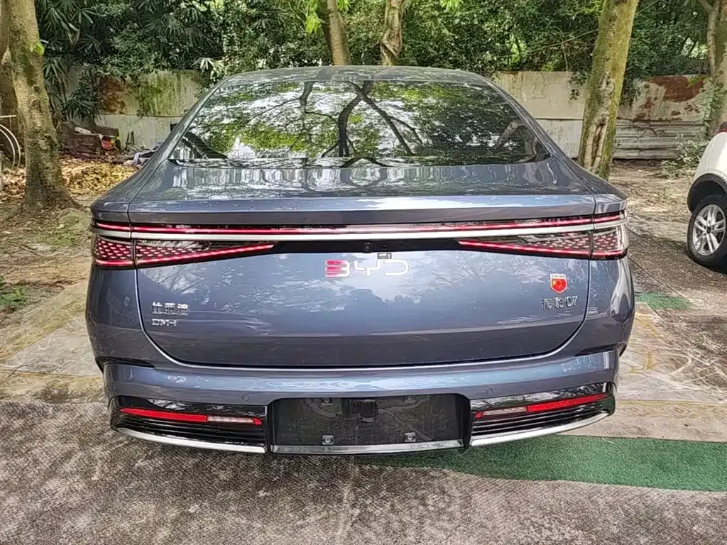 BYD Seal 07 DM-i 2024 из CN, фото 9