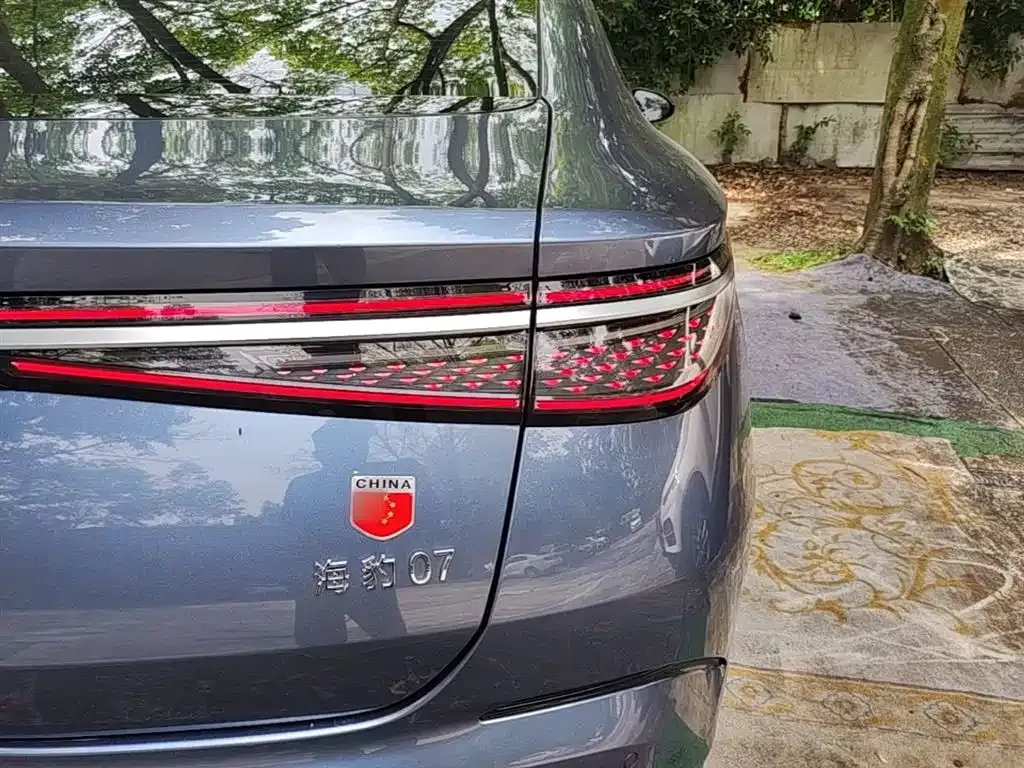 BYD Seal 07 DM-i 2024 из CN, фото 5