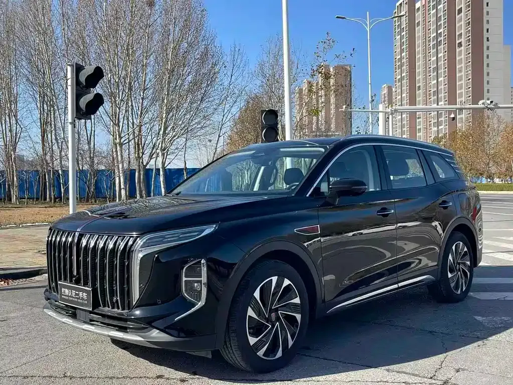 Hongqi HS7 PHEV — фото 8