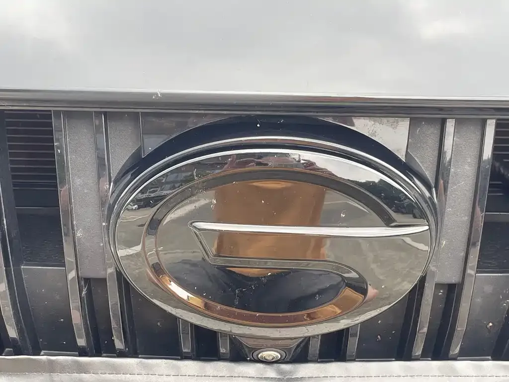 GAC Motor Shadow Leopard — фото 10