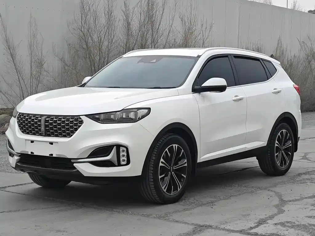 Wey VV6
