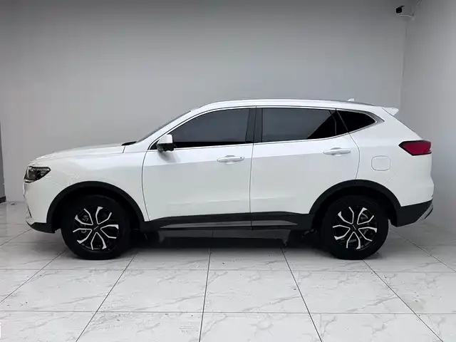 Haval H6 2024 из CN, фото 4