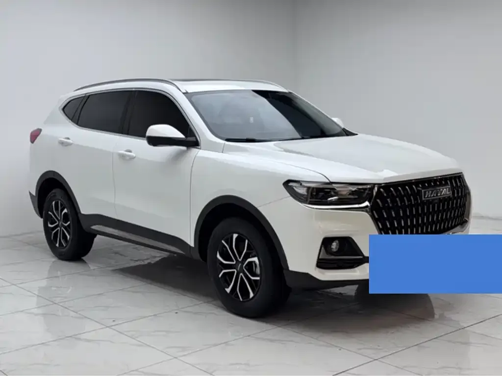 Haval H6 2024 из CN, фото 6