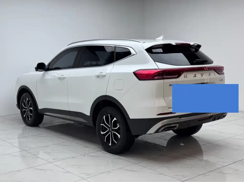 Haval H6 2024 из CN, фото 3
