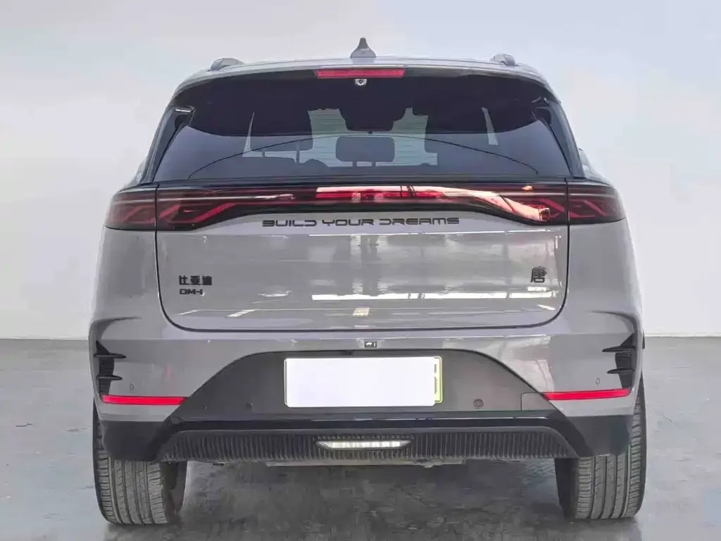 BYD Tang New Energy — фото 10