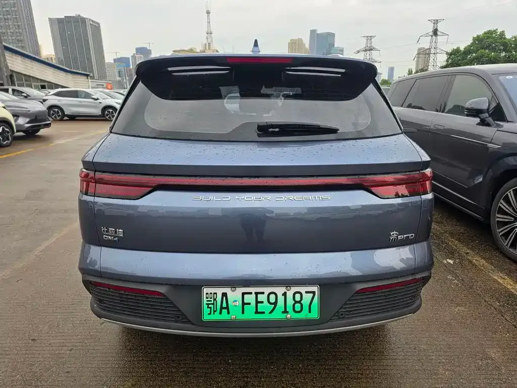 BYD Pro New Energy — фото 4